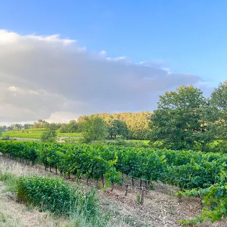 Appartement Avec Terrasse Arboree Proche Lourmarin Cadenet Buitenkant foto