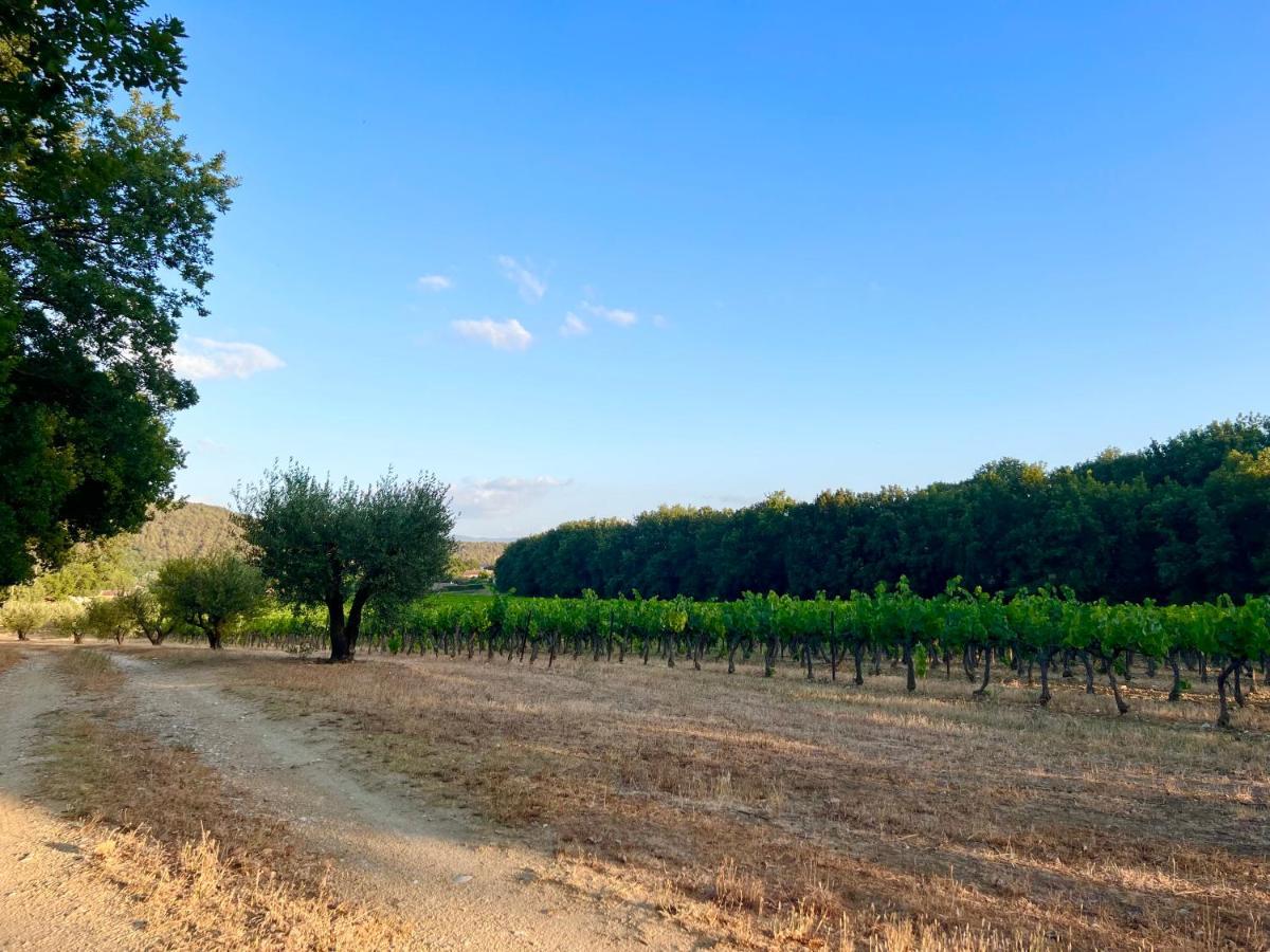 Avec Terrasse Arboree Proche Lourmarin * Cadenet