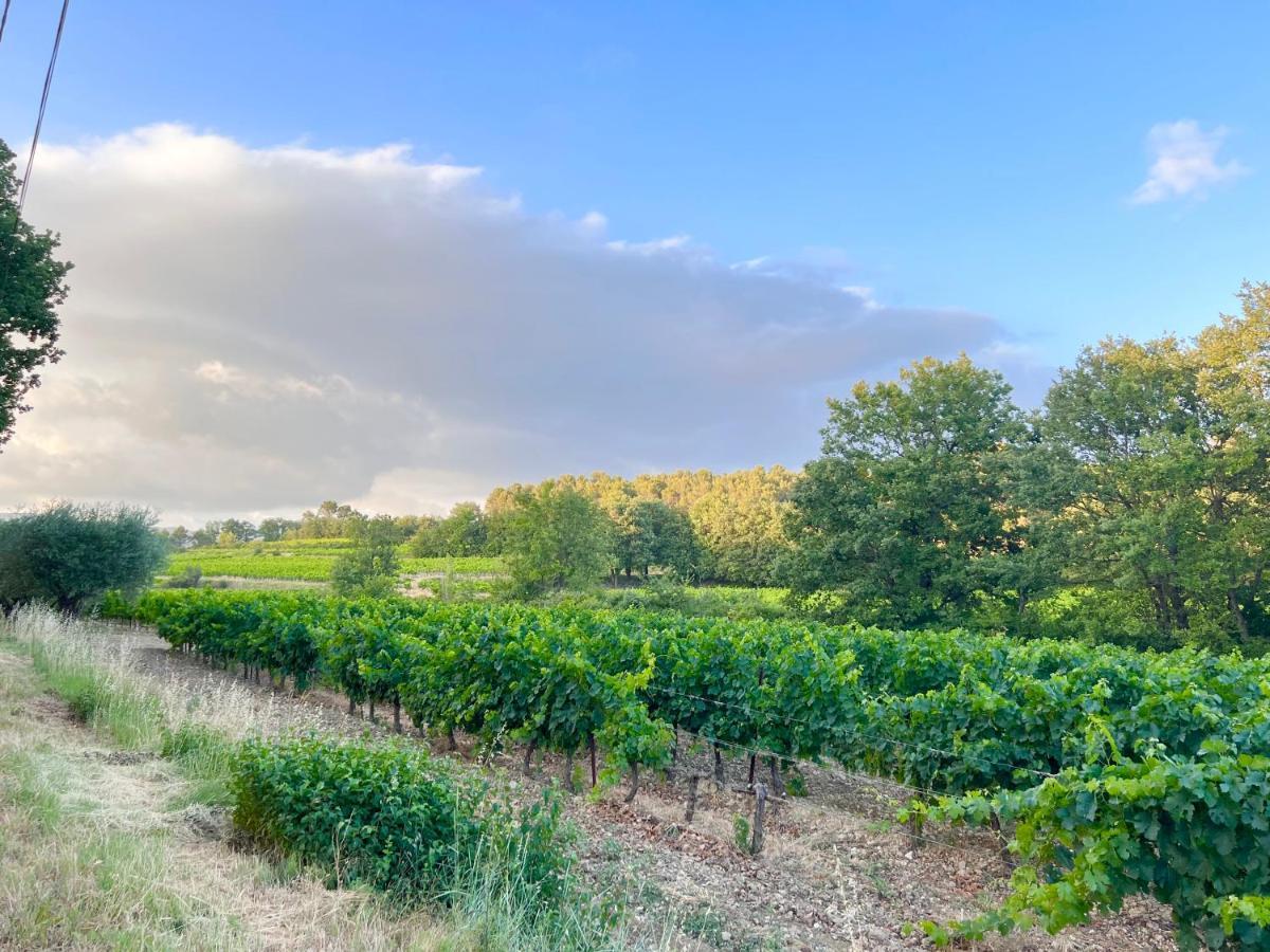 Avec Terrasse Arboree Proche Lourmarin * Cadenet